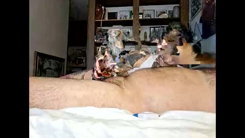 Kittykittybangbang online show from February 2026 07:43:01 PM