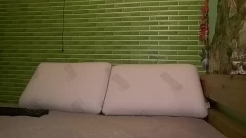 Snapshot of mohawkred chatting on January 2025 02:11:02 AM MohawkRed online show from January 2025 02:11:02 AM