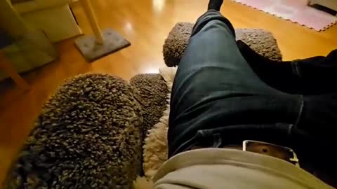 mojo28112 online show from November 2025 06:19:01 PM