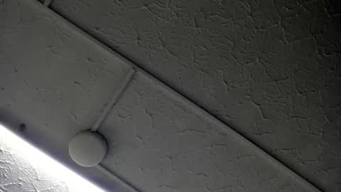 Hey Guys  Im Mollie online show from November 2025 12:19:02 PM