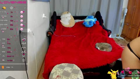 Snapshot of monica_elder chatting on December 2024 01:18:02 PM Monica Elder online show from December 2024 01:18:02 PM