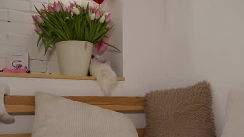 monicaasis online show from March 2025 09:18:02 PM