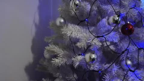   Mona   online show from December 2024 06:54:02 AM