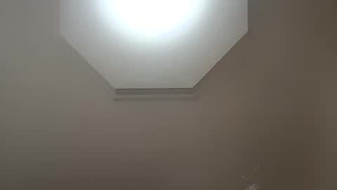 moos1 online show from February 2026 06:59:02 PM