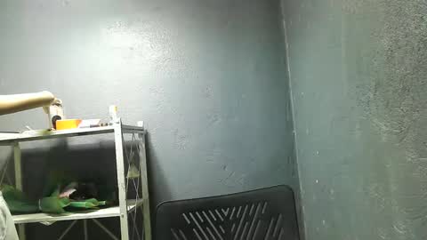 Snapshot of morenang_pinay chatting on November 2025 07:41:02 AM morenang_pinay online show from November 2025 07:41:02 AM