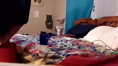 B online show from February 2025 08:24:01 AM