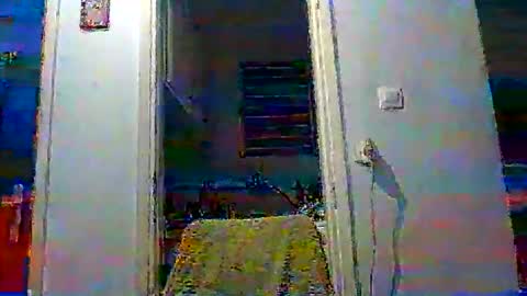 mppempis81 online show from November 2025 03:45:01 PM