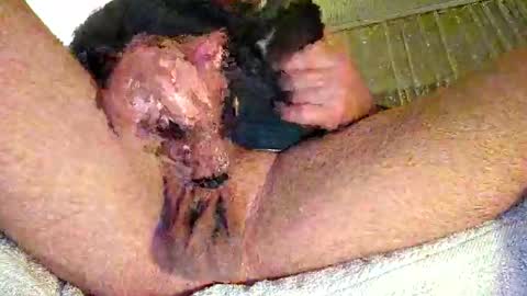 mr_niceguy83 online show from February 2026 11:08:02 PM