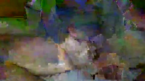 Snapshot of mre11118957 chatting on April 2026 02:09:02 AM Mr-E online show from April 2026 02:09:02 AM