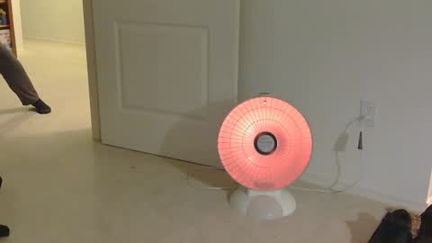 IwantU2WatchME online show from November 2025 12:33:01 PM