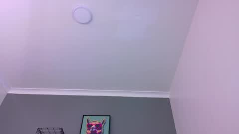 Snapshot of mrfox__ chatting on May 2026 12:29:02 AM Mr Fox online show from May 2026 12:29:02 AM