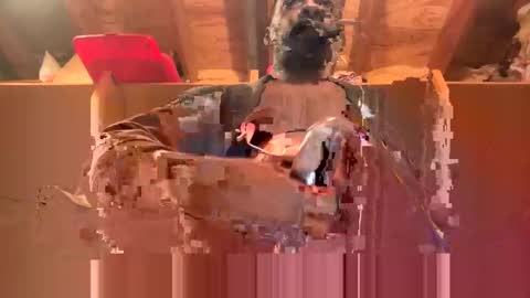 GSpotMassager online show from December 2024 11:24:01 PM