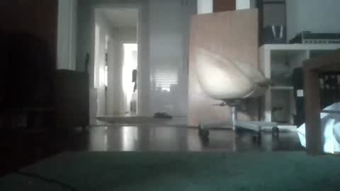 Nikola online show from February 2026 07:03:02 AM