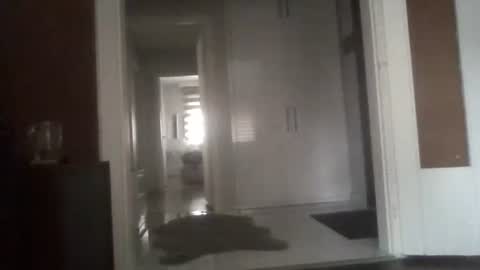 Nikola online show from March 2026 06:42:02 AM