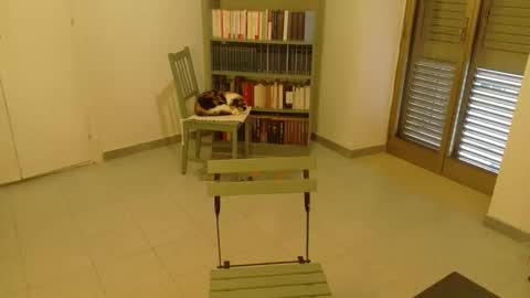 Snapshot of mrkurt86 chatting on November 2025 01:55:01 PM mrkurt86 online show from November 2025 01:55:01 PM