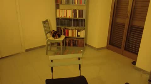 Snapshot of mrkurt86 chatting on November 2025 04:49:01 PM mrkurt86 online show from November 2025 04:49:01 PM