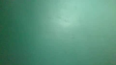 mrlust6969 online show from January 2025 05:08:01 PM