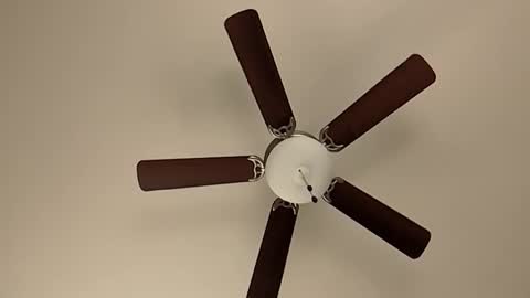 mrorange50187 online show from January 2025 05:48:01 PM