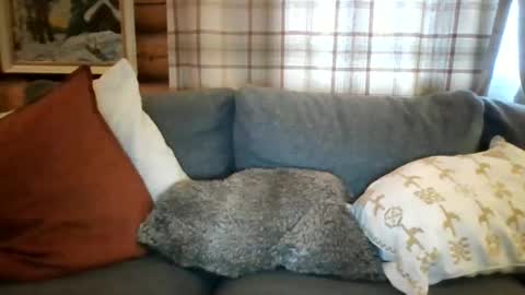 Twinsoulsex online show from March 2026 04:51:01 PM