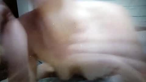 Msivy online show from May 2026 05:01:02 AM