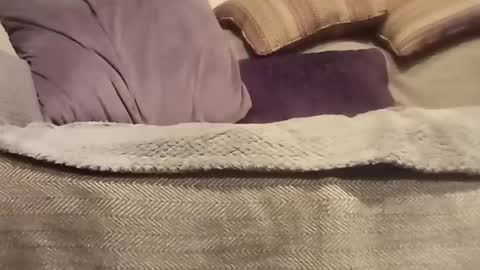 mtx9889 online show from October 2025 10:47:02 PM