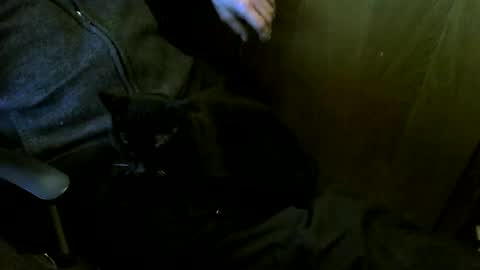 muller520 online show from March 2026 04:02:02 PM