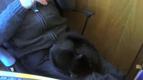 muller520 online show from April 2026 03:50:01 PM