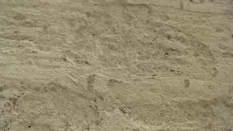 Mullty online show from December 2024 08:36:02 PM