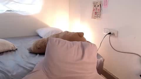   online show from February 2026 08:04:02 PM