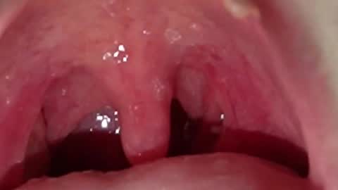 muscle_king_cum online show from October 2025 01:56:01 PM