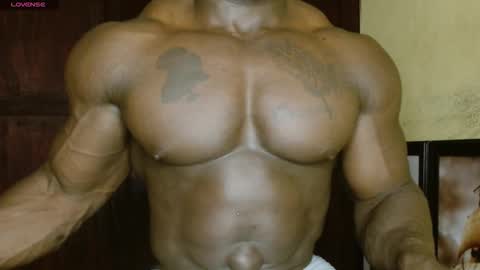 musclegod23 online show from February 2026 02:46:01 PM