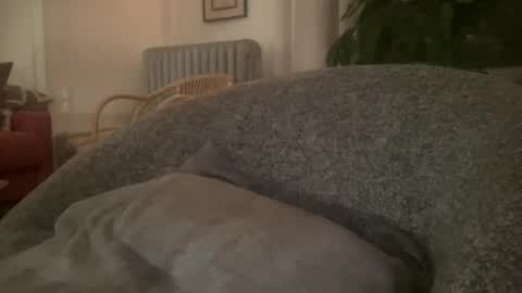 muslgut online show from February 2025 03:04:02 AM