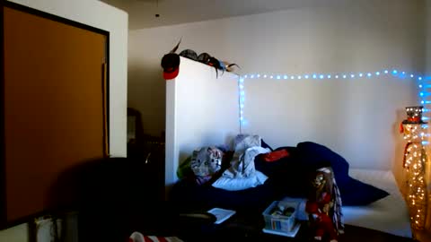 Snapshot of mycock4u247 chatting on October 2025 09:12:02 PM LA MARIPOSA DE MARICOPA online show from October 2025 09:12:02 PM