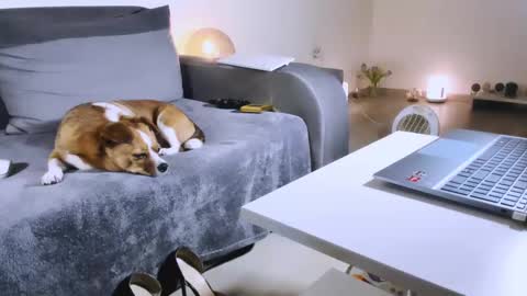 Anda online show from February 2025 10:58:01 PM