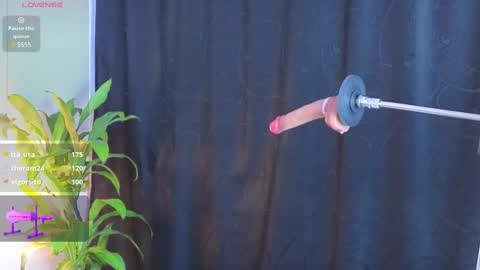 Kathe online show from February 2025 02:53:01 PM