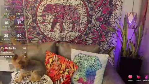 S A R A online show from February 2025 08:21:01 PM