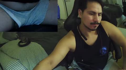 N0ttheFace online show from November 2025 02:28:02 AM