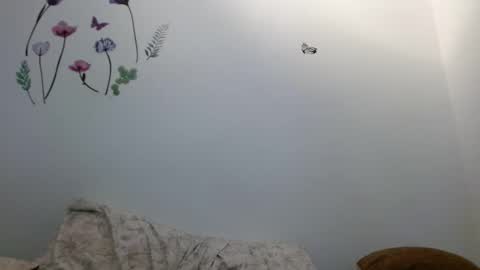 nahomy_gree online show from February 2026 06:40:02 AM