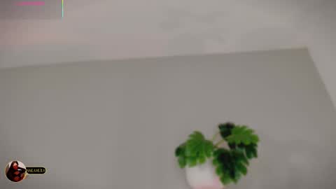 INSTAGRAM  m2221     online show from March 2026 09:59:02 AM