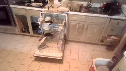 nakednate1780 online show from December 2024 12:46:01 AM