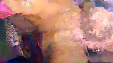 nakedtraderbr online show from May 2026 01:52:02 PM