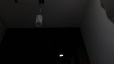 NALAROY online show from February 2025 12:01:02 PM