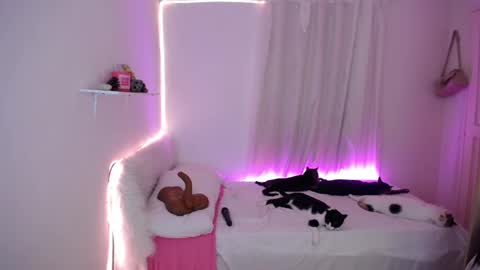 samantha online show from September 2025 07:04:02 PM