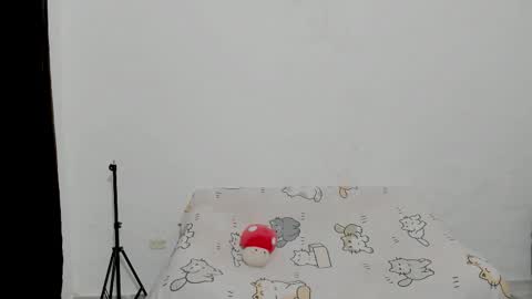 Snapshot of naoko_uwu chatting on January 2026 01:11:01 AM Naoko online show from January 2026 01:11:01 AM