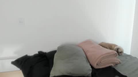 Snapshot of naomimoore chatting on January 2026 06:11:02 PM Naomi Moore online show from January 2026 06:11:02 PM