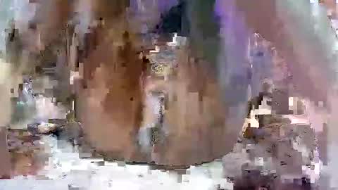 nasty toy online show from January 2025 06:17:01 AM