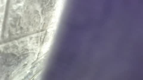 Snapshot of natalieevansx chatting on November 2025 03:39:01 PM natalieevansx online show from November 2025 03:39:01 PM