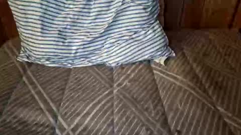 Snapshot of nativejoker_1995 chatting on October 2025 09:13:02 PM nativejoker_1995 online show from October 2025 09:13:02 PM