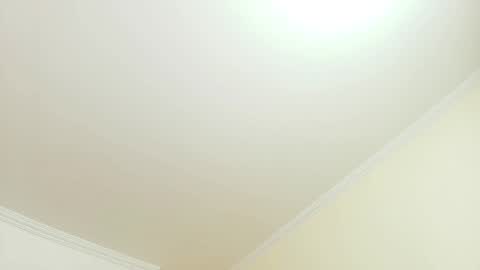 Kitten online show from September 2025 11:36:01 AM