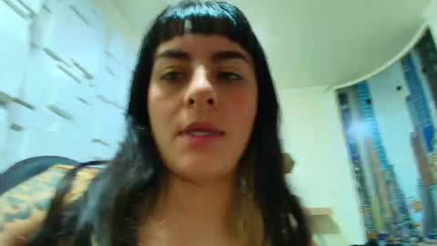 Kitten online show from February 2026 10:42:02 AM